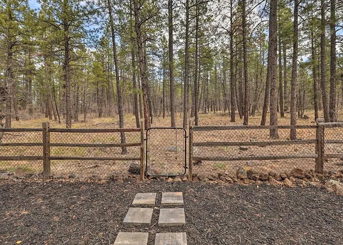 Dom wakacyjny Renovated W/ Fire Pit In Munds Park! Munds Park